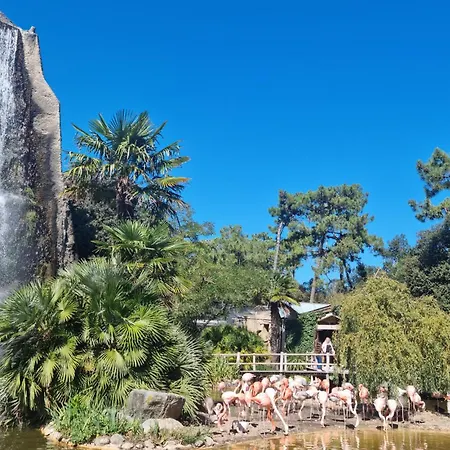 Charmante Maison Proche Holiday home Royan