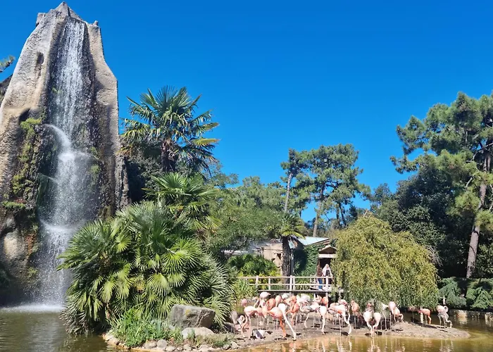 Charmante Maison Proche Holiday home Royan